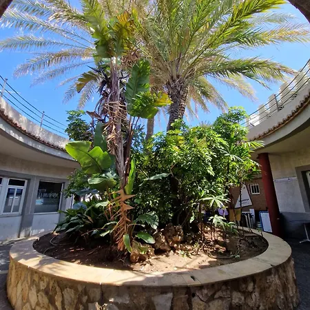 Apartamento Barbacoa, Piscina Y Playa Puebla de Farnals Exterior foto